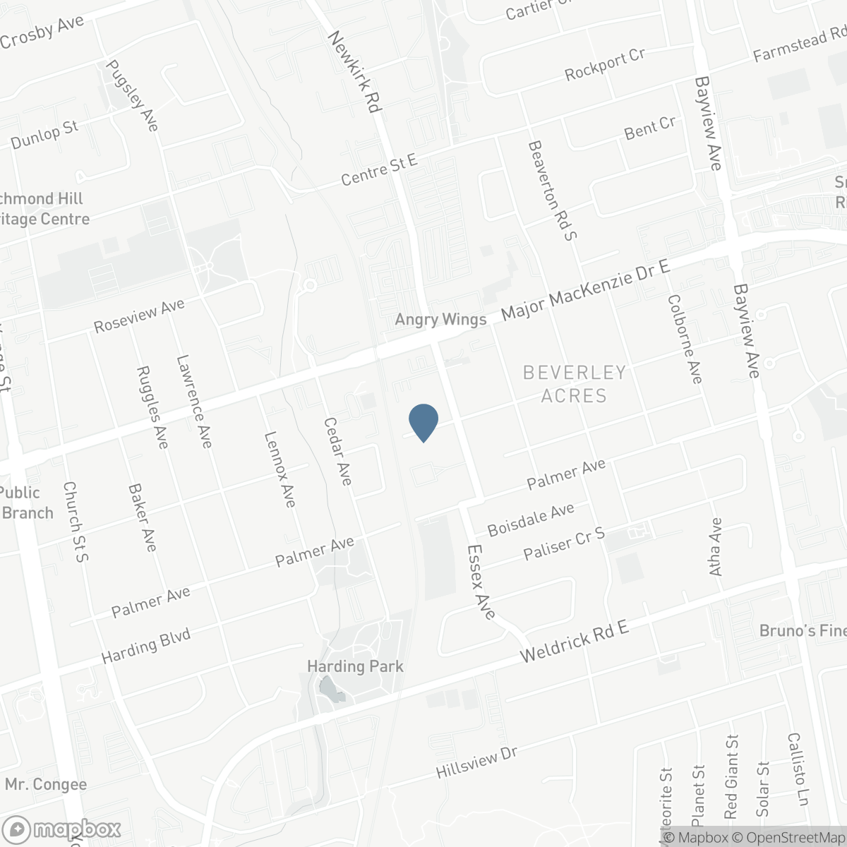 245 ELMWOOD AVENUE, Richmond Hill, Ontario L4C 1L3